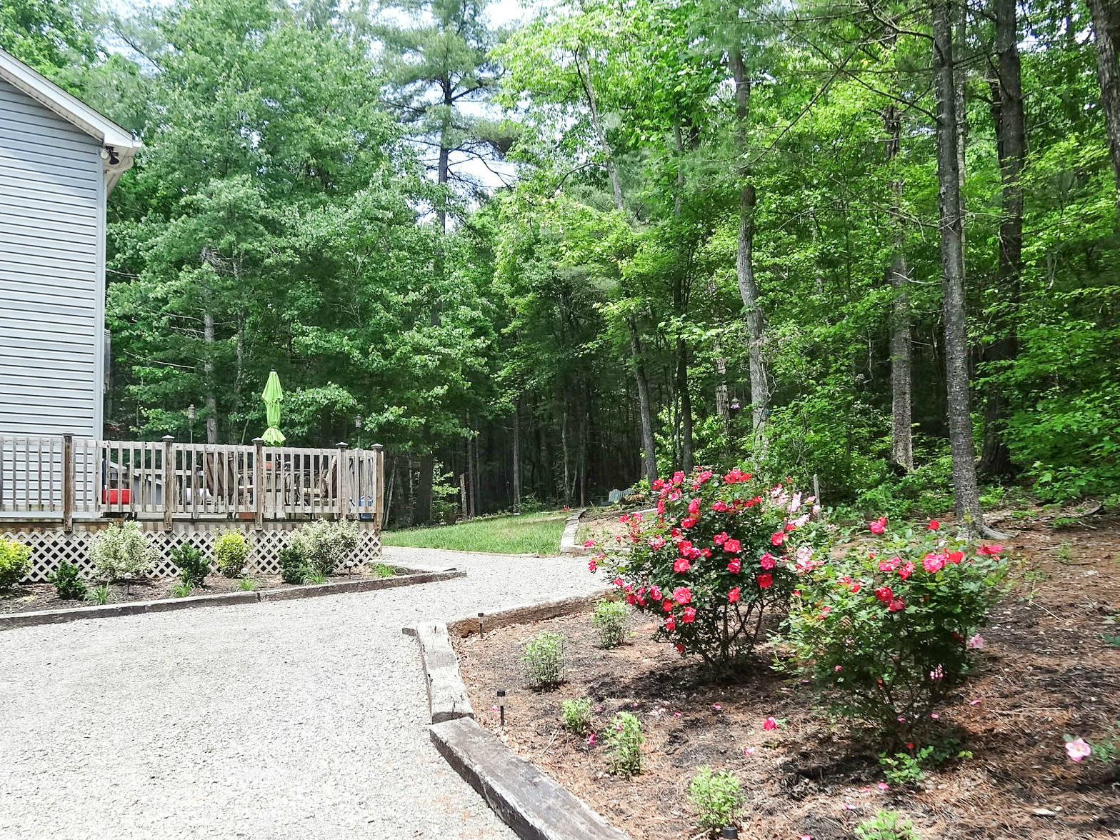 749 Isolane Road Callaway, VA 24067 - Photo 5 of 38 a view of a garden with flowers and trees