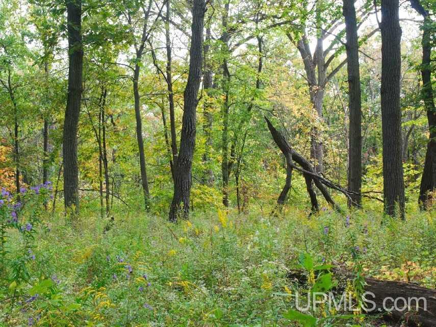 Tbd Town Rd Hh Florence, WI 54121 - Photo 1 of 1 Gallery Image 1