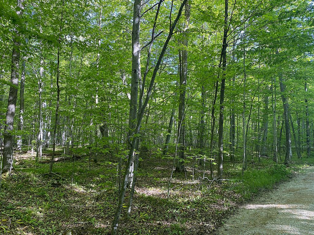 Tbd Garrett Bay Road Ellison Bay, WI 54210 - Photo 1 of 16