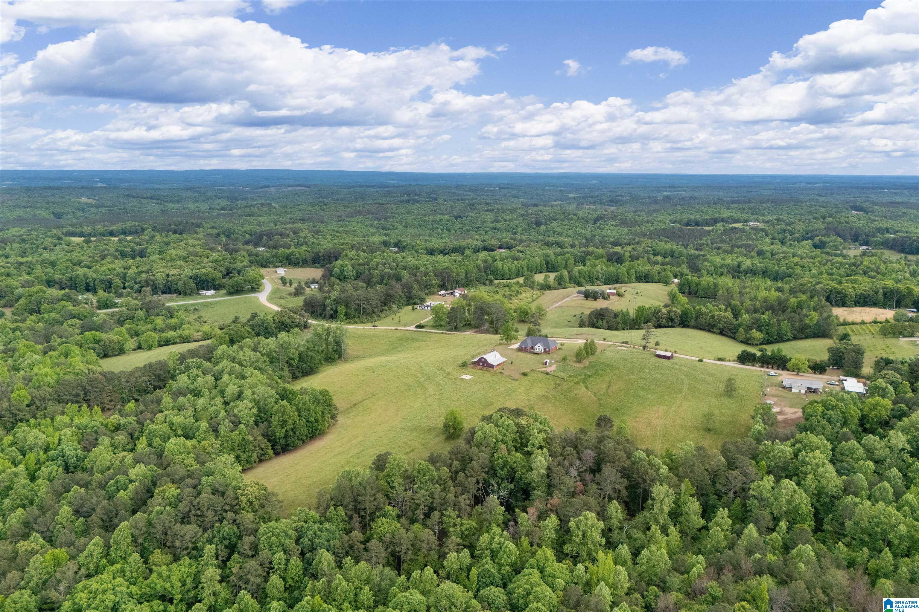 1435 County Road 633 Ranburne, AL 36273 - Photo 5 of 96