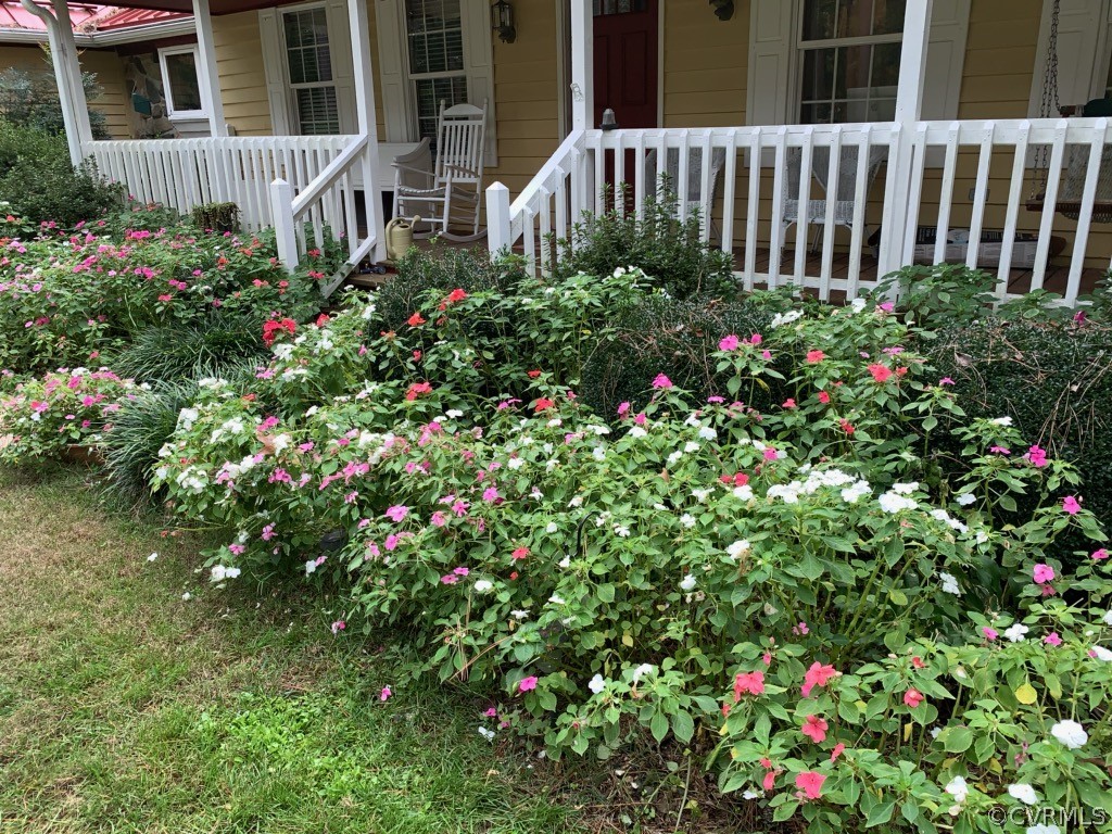 19059 Stokes Road Yale, VA 23897 - Photo 49 of 50 Beautiful flowers in front of main home