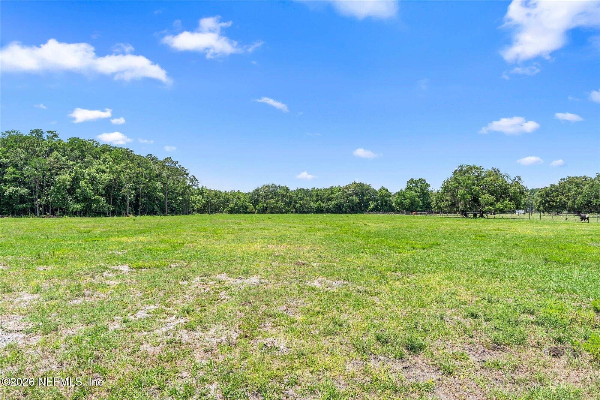 786 West River Road Palatka, FL 32177 - Photo 33 of 53 a view of a green field with clear sky
