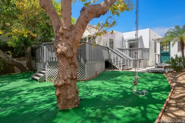 a garden with plants