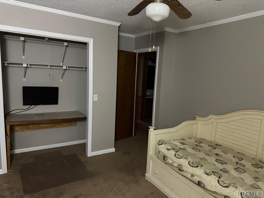 786 Blue Valley Road Highlands, NC 28741 - Photo 19 of 29 Gallery Image 19