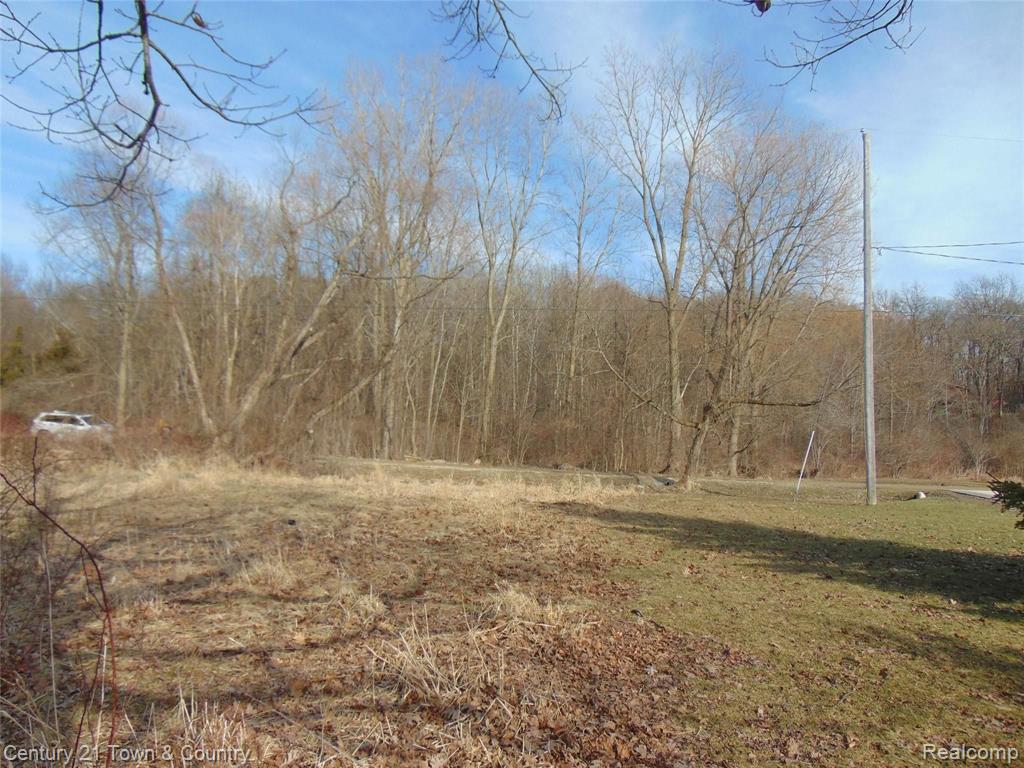 0 Taylor Lake Road Pontiac, MI 48342 - Photo 5 of 10