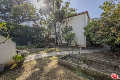 a view of a backyard with trees