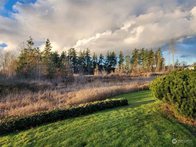 a view of road and tree