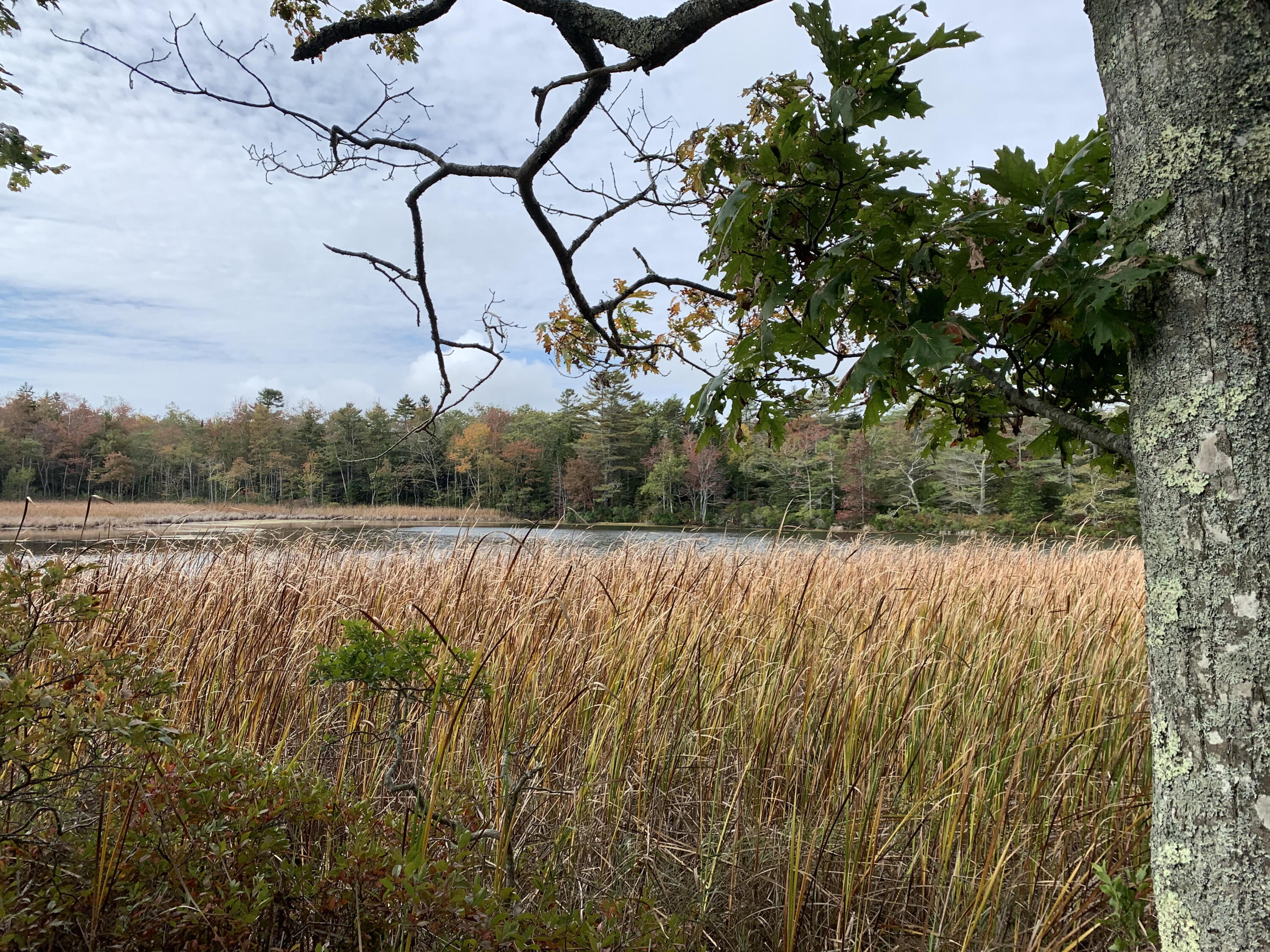 0 Long Point Road Harpswell, ME 04079 - Photo 15 of 19 unnamed 3
