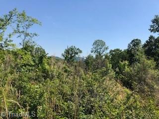 0 Rush Mountain Road Trinity, NC 27370 - Photo 2 of 3 Gallery Image 2