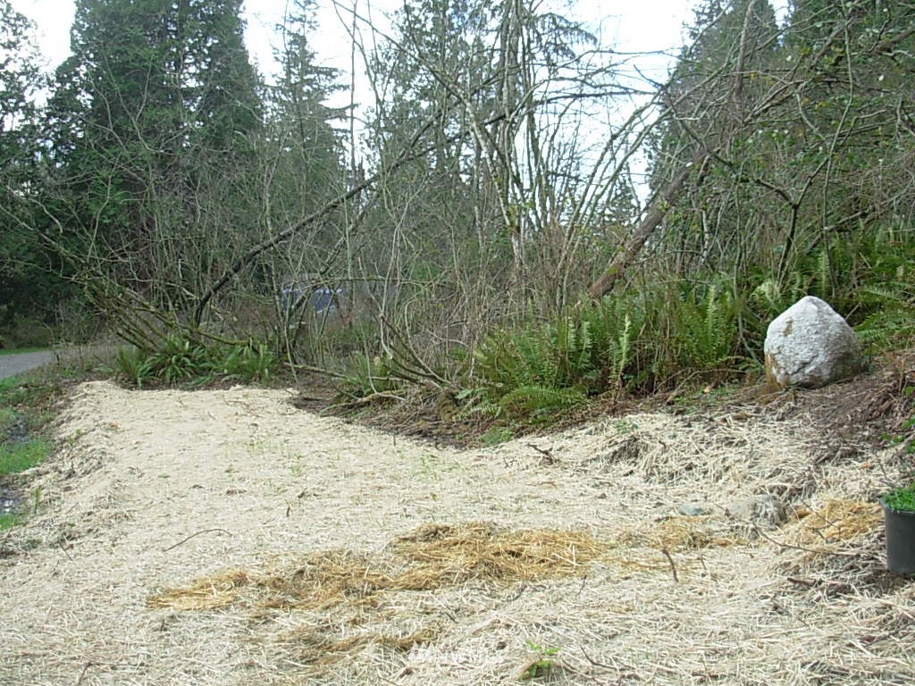 4363 Masterson Road Blaine, WA 98230 - Photo 12 of 12 Gallery Image 12