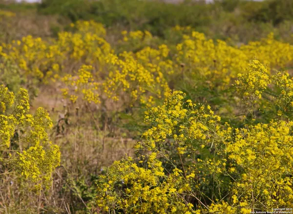 $78,000 | 2644 Moore Tx 78057, Devine, TX 78016