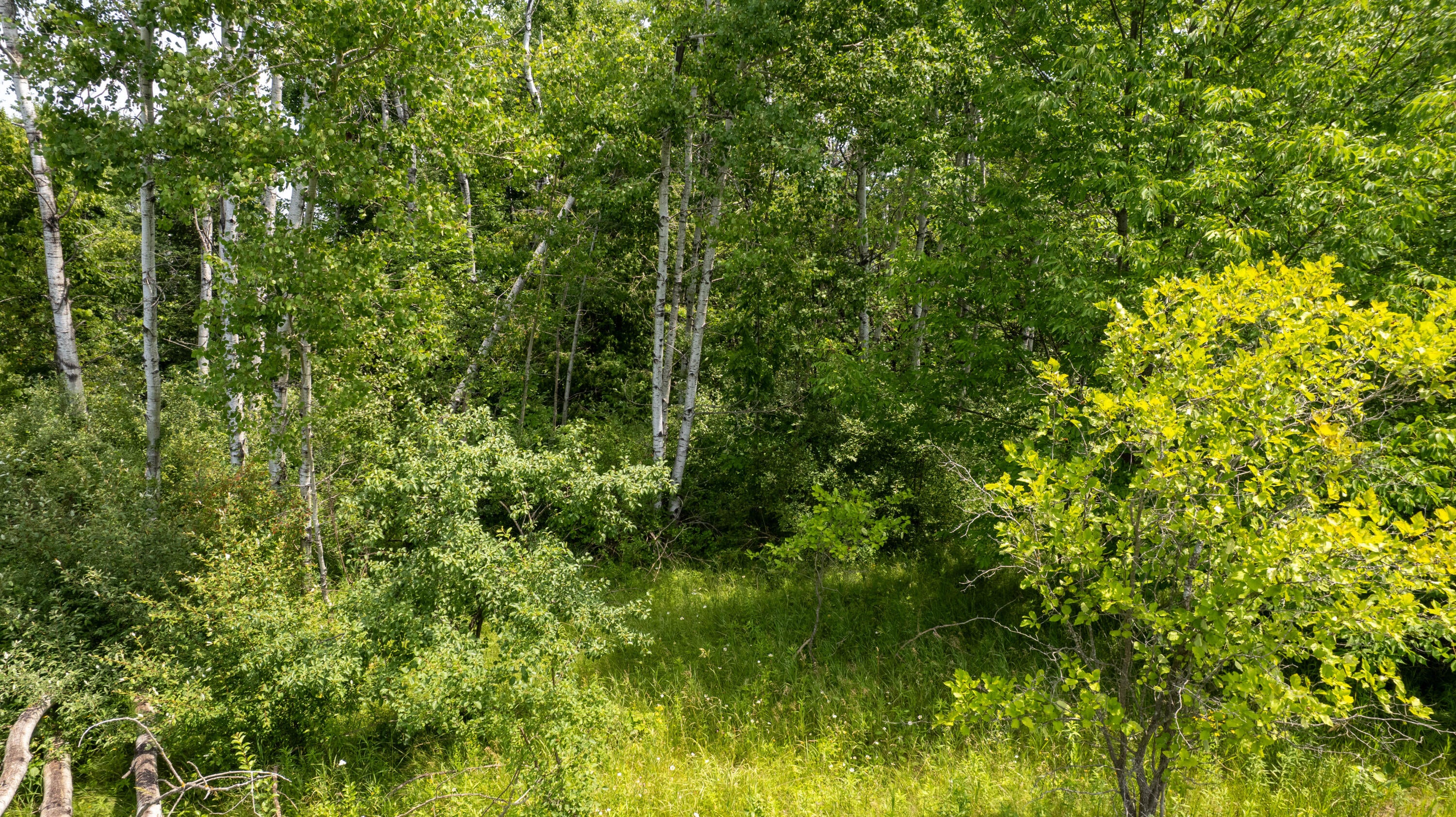 6330 South River Road Cheboygan, MI 49721 - Photo 9 of 11 Gallery Image 9