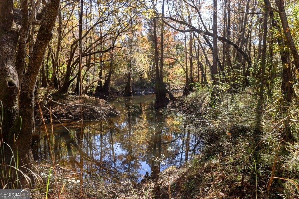a view of a yard with some trees