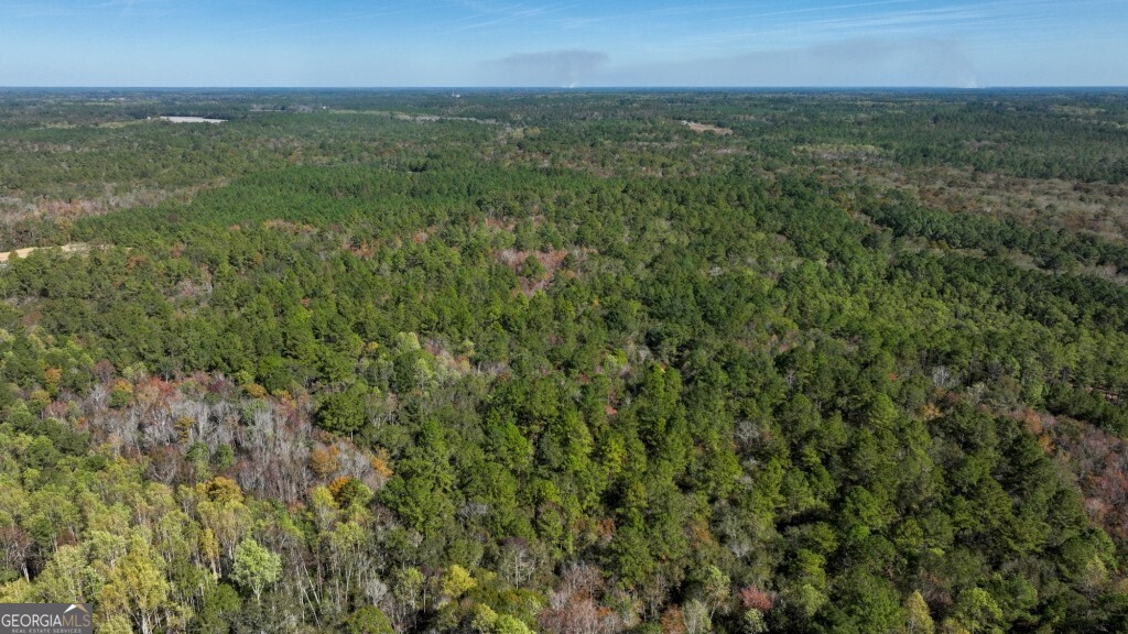 0 Twin Forks Rd/martin Road, Unit TRACT 3 Statesboro, GA 30458 - Photo 6 of 10 a view of a big yard with plants and large trees