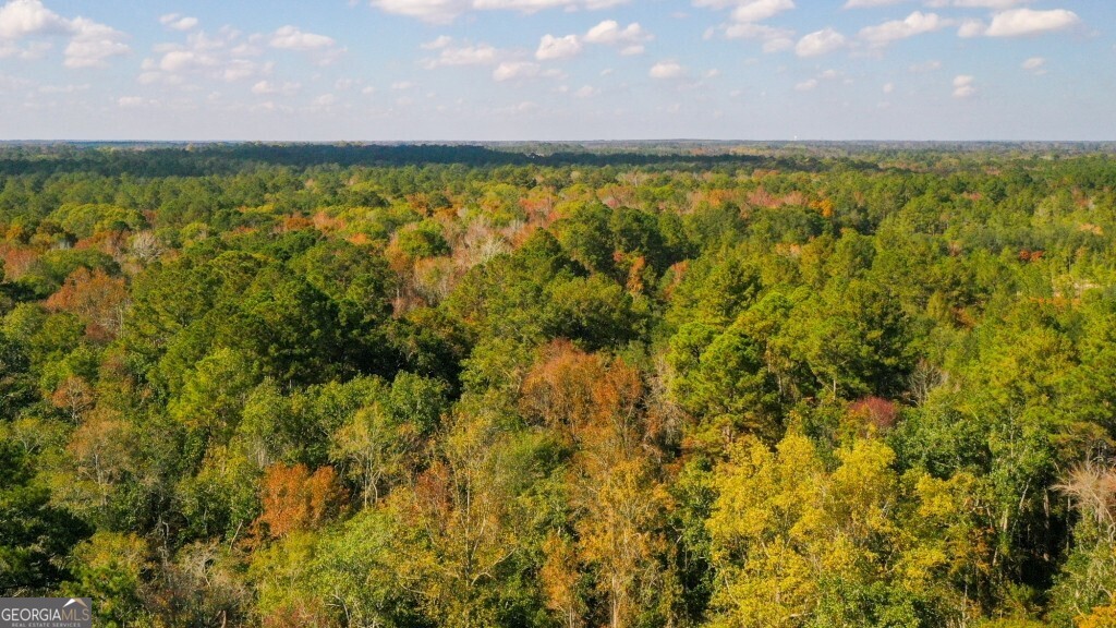 0 Twin Forks Rd/martin Road, Unit TRACT 3 Statesboro, GA 30458 - Photo 7 of 10 a view of swimming pool from a yard