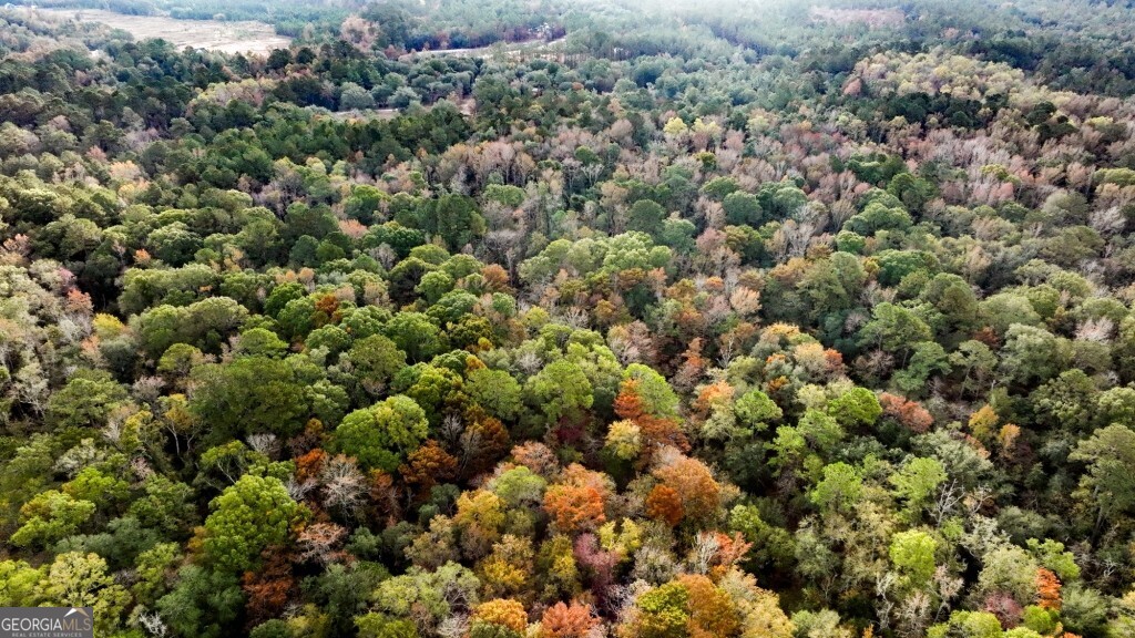 0 Twin Forks Rd/martin Road, Unit TRACT 3 Statesboro, GA 30458 - Photo 8 of 10 view of a city