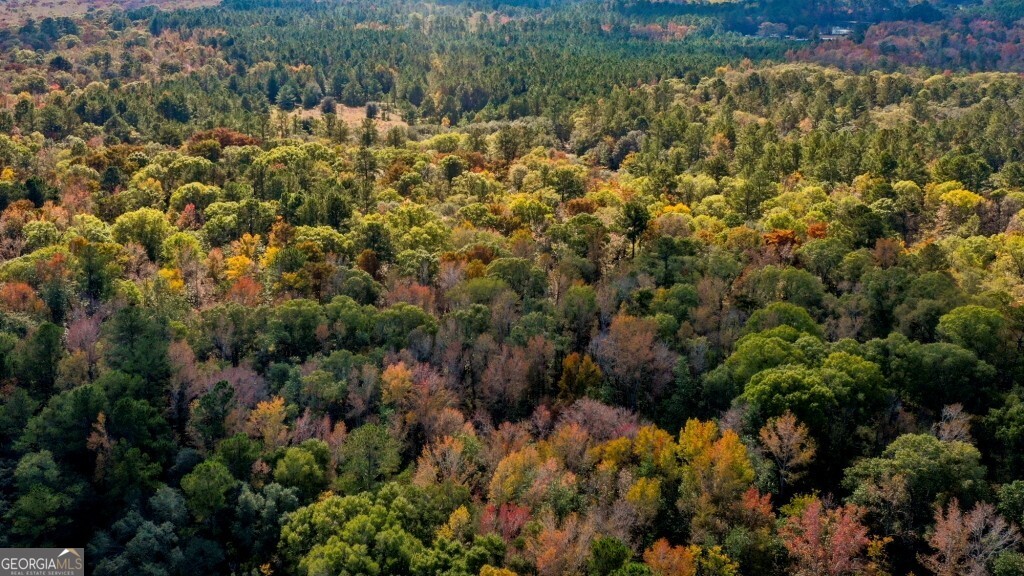 0 Twin Forks Rd/martin Road, Unit TRACT 3 Statesboro, GA 30458 - Photo 9 of 10 a view of a bunch of trees