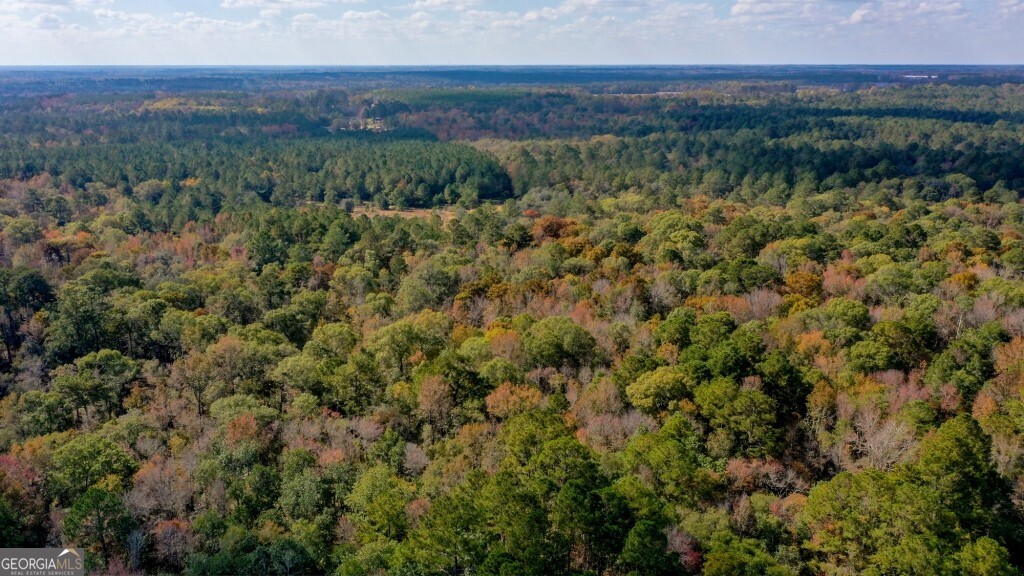 0 Twin Forks Rd/martin Road, Unit TRACT 3 Statesboro, GA 30458 - Photo 10 of 10 a view of a field with a forest