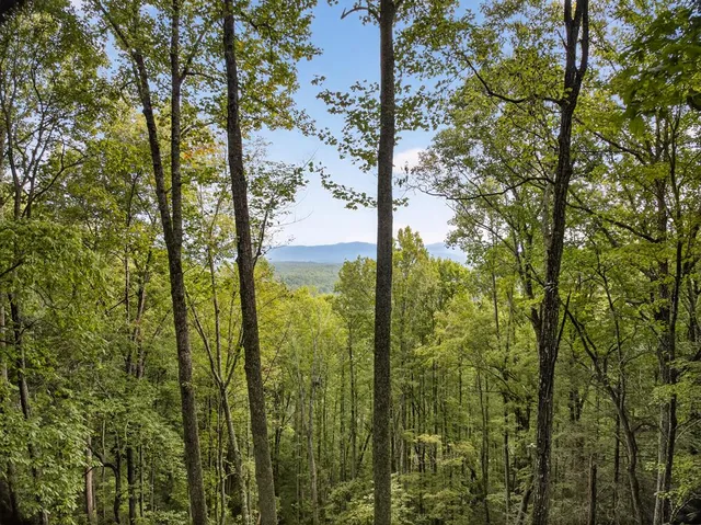 a view of outdoor space and mountain from under