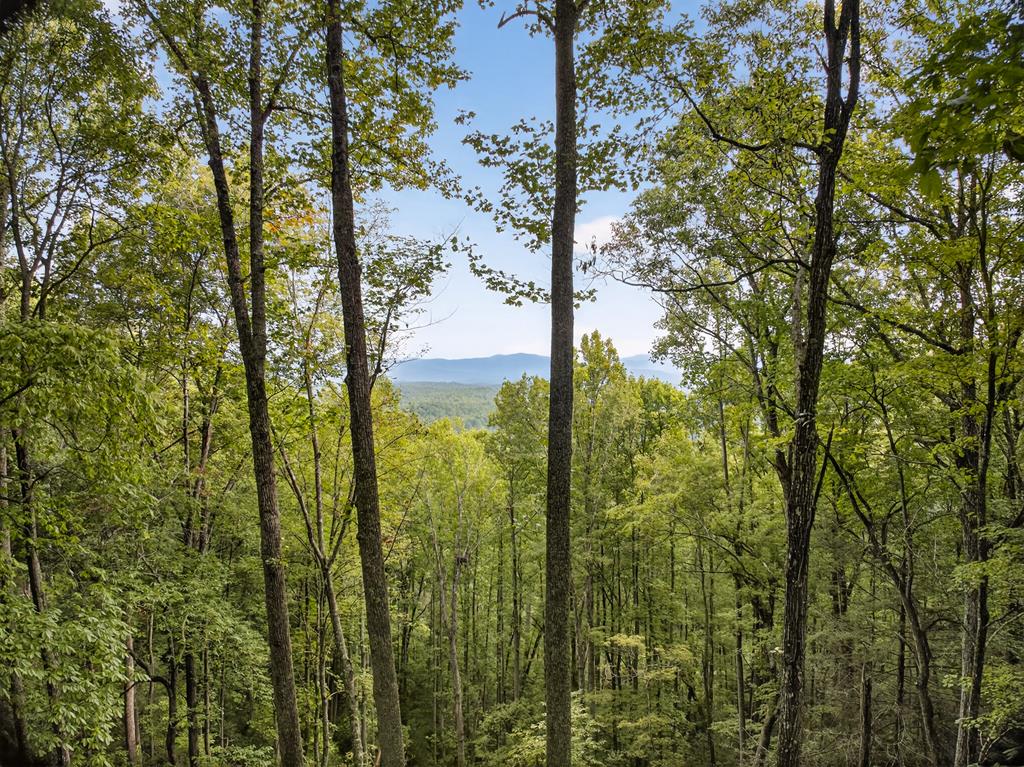 a view of outdoor space and mountain from under