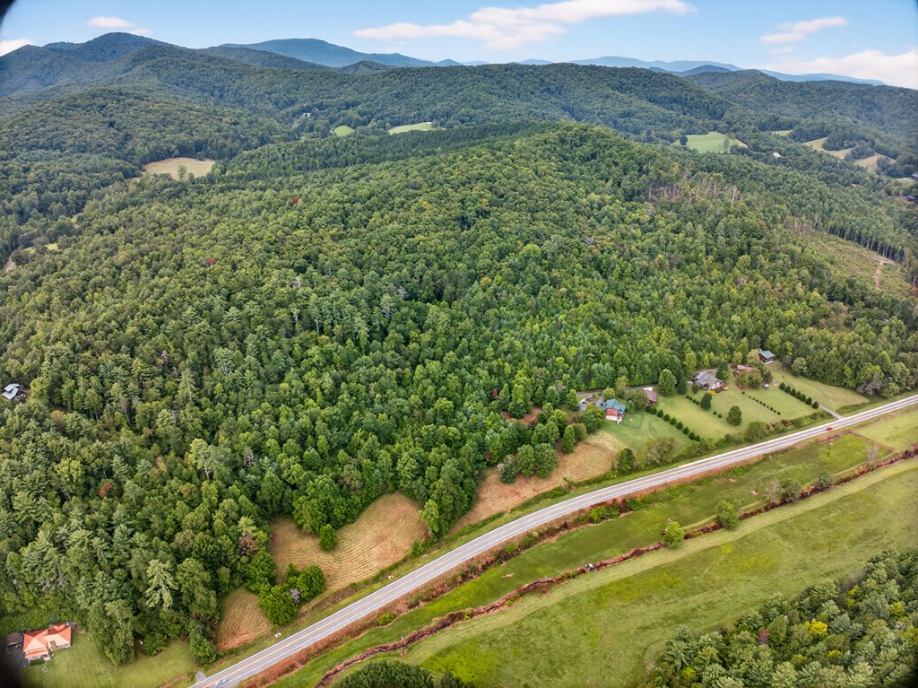 0 Hayden Lane Murphy, NC 28906 - Photo 22 of 30 a view of a forest with a forest