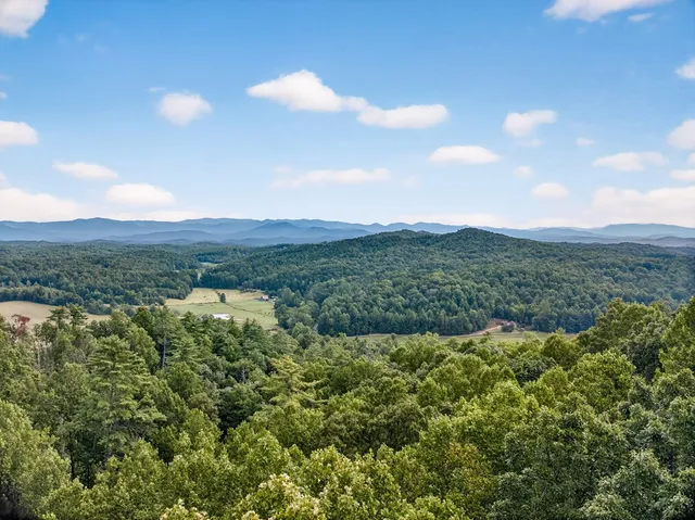 a view of a bunch of trees and bushes