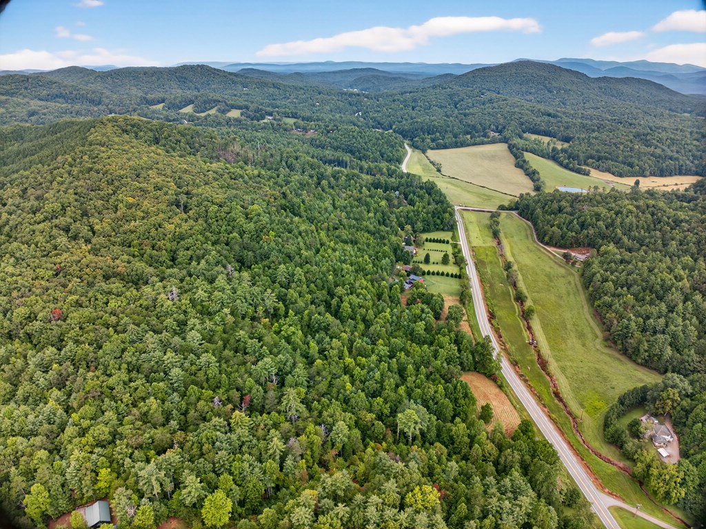 0 Hayden Lane Murphy, NC 28906 - Photo 29 of 30 a view of a yard with a garden