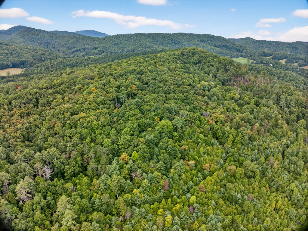 0 Hayden Lane Murphy, NC 28906 - Photo 30 of 30 a view of a lush green hillside and a mountain