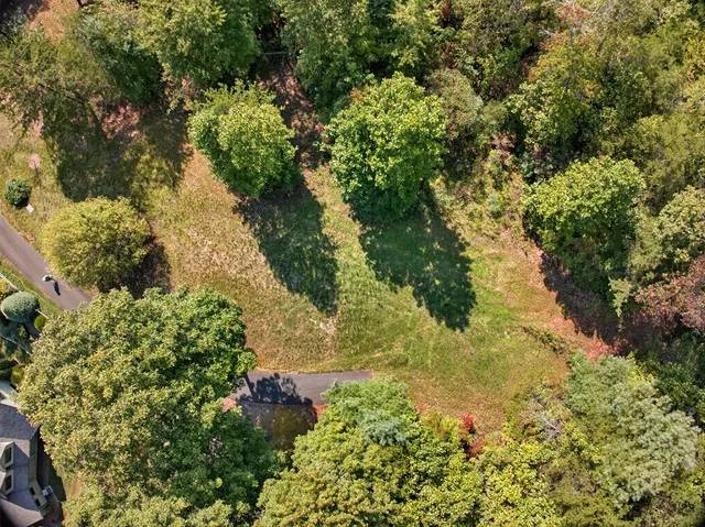 a view of a garden with plants