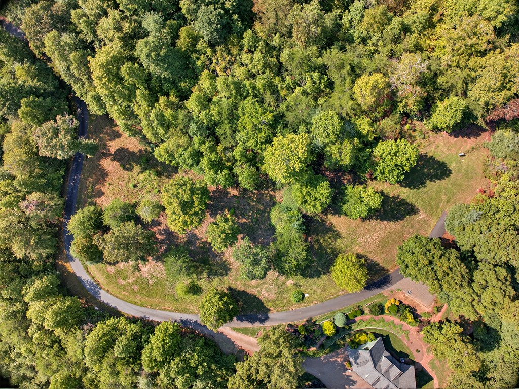 0 Hayden Lane Murphy, NC 28906 - Photo 5 of 30 a view of a garden with a tree