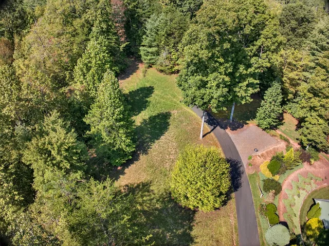 a view of a garden with plants