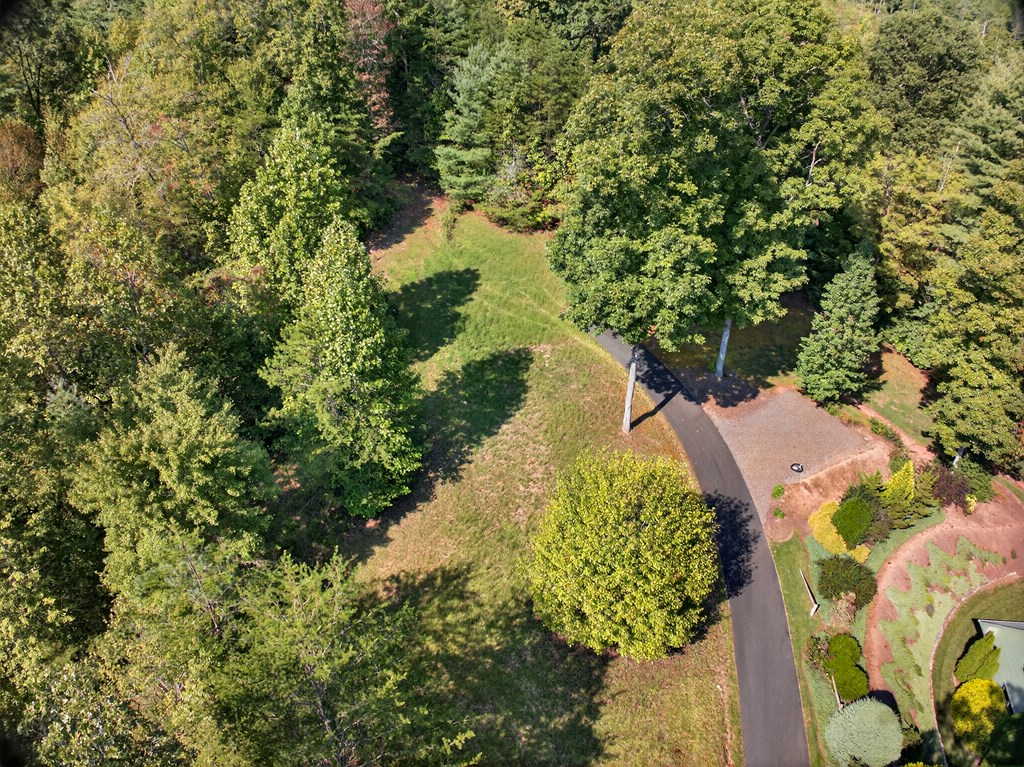0 Hayden Lane Murphy, NC 28906 - Photo 6 of 30 a view of a garden with plants