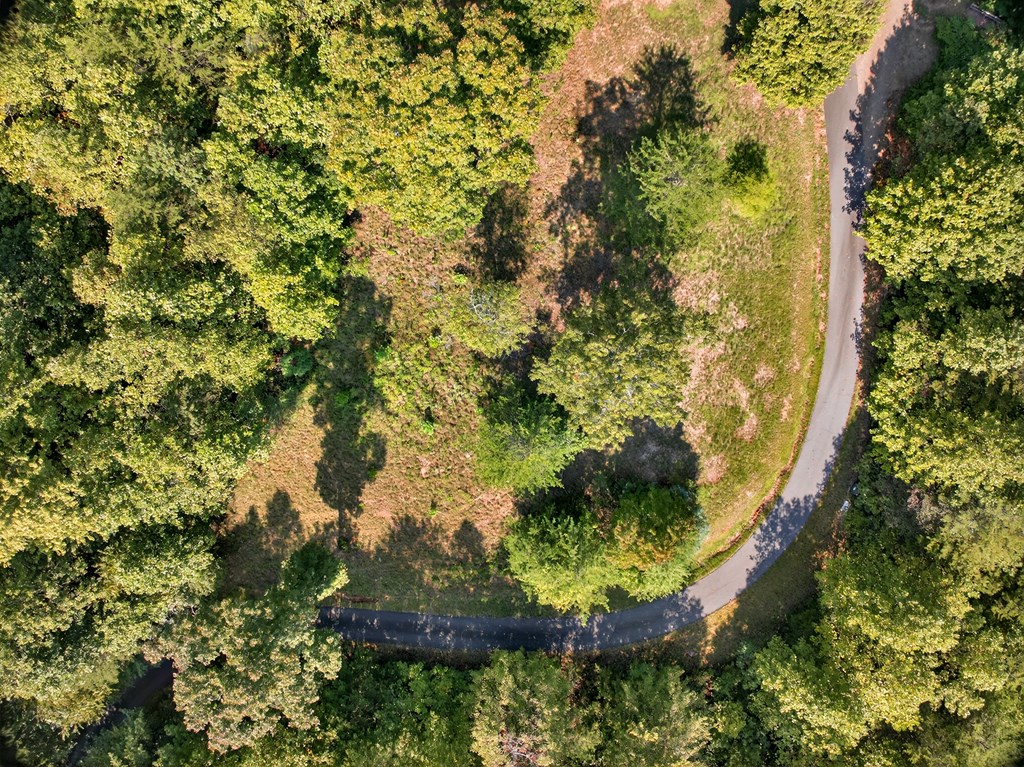 0 Hayden Lane Murphy, NC 28906 - Photo 7 of 30 a view of a garden