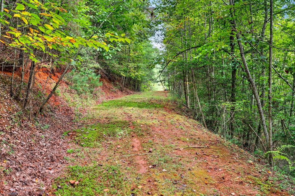 0 Hayden Lane Murphy, NC 28906 - Photo 10 of 30 a view of backyard with green space