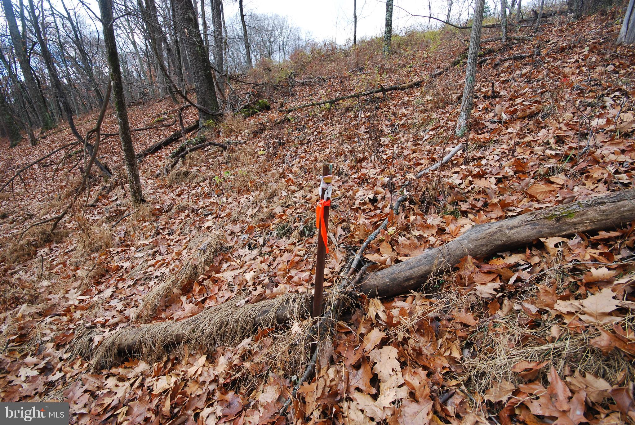 Lot 70-71 Mill Mountain Road Romney, WV 26757 - Photo 31 of 52