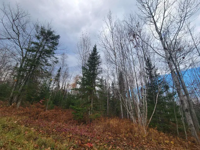 $475,000 | 85255 Ravine Road, Port Wing, WI 54865