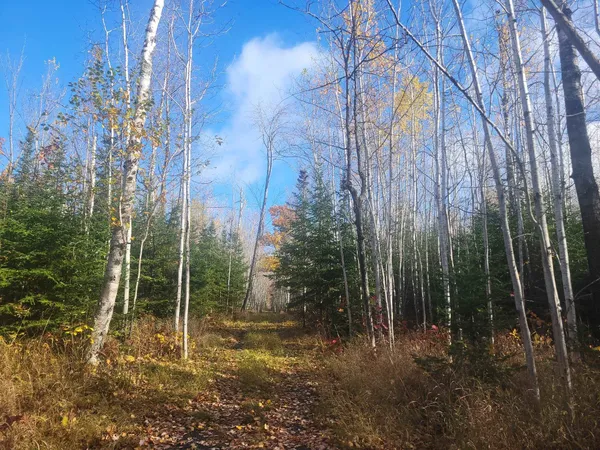 $475,000 | 85255 Ravine Road, Port Wing, WI 54865