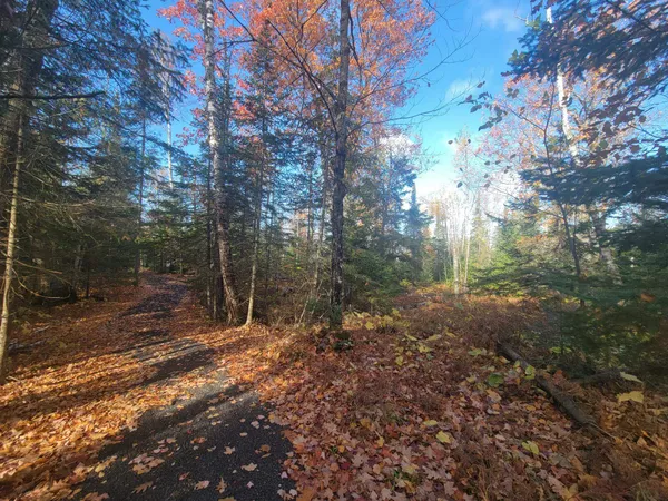 $475,000 | 85255 Ravine Road, Port Wing, WI 54865