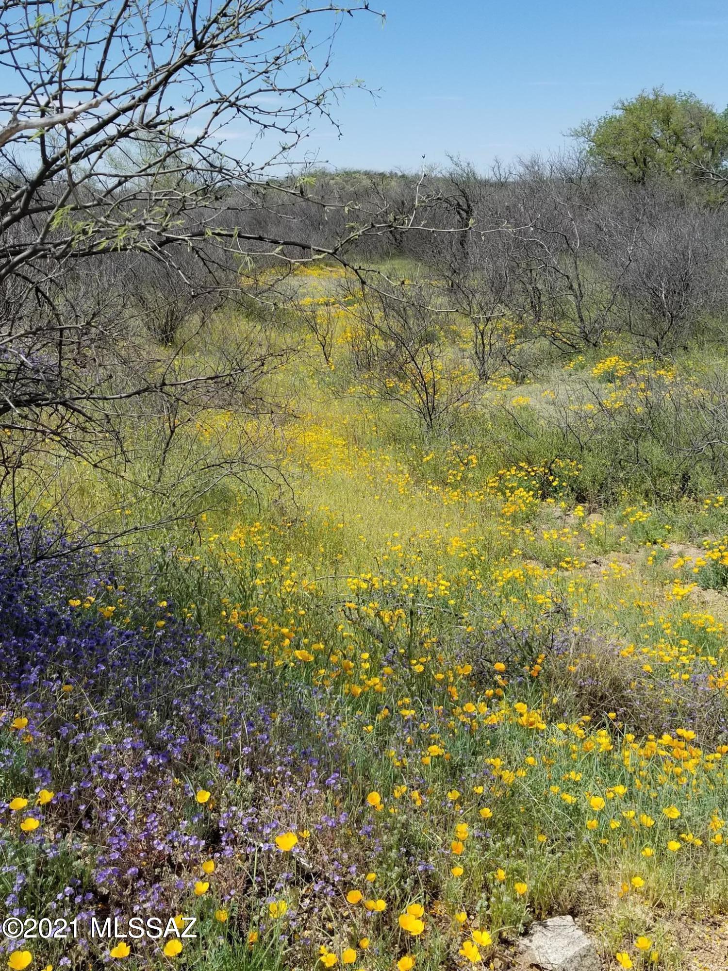 6802 East Colossal Cave Road South Vail, AZ 85641 - Photo 7 of 12