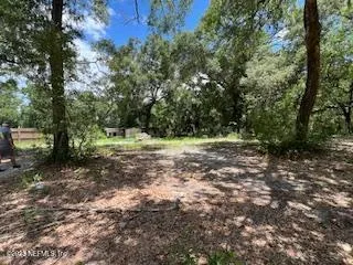 a view of outdoor space with trees all around