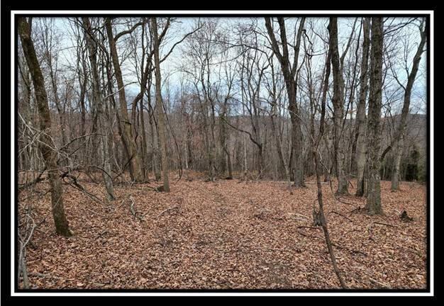 0 Black Run Road, Unit TRACT 8) Chillicothe, OH 45601 - Photo 44 of 47 image046
