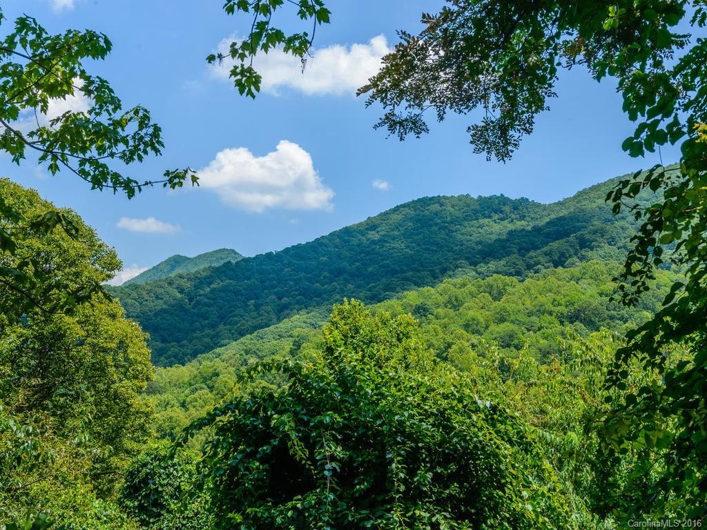 1792 Newfound Road Leicester, NC 28748 - Photo 21 of 24 Gallery Image 21