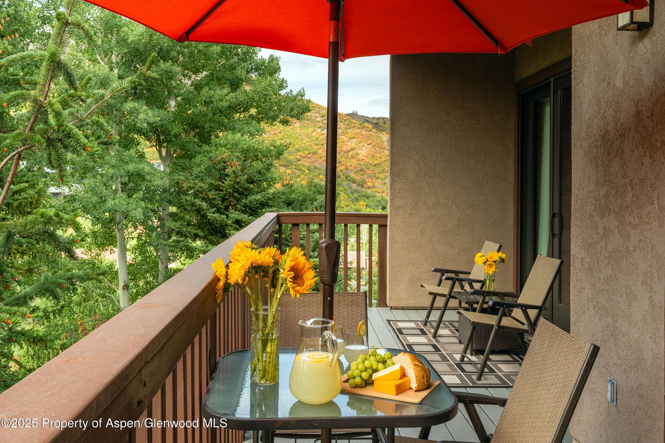229 Faraway Road, Unit 28 Snowmass Village, CO 81615 - Photo 17 of 30 Long, Spacious Deck