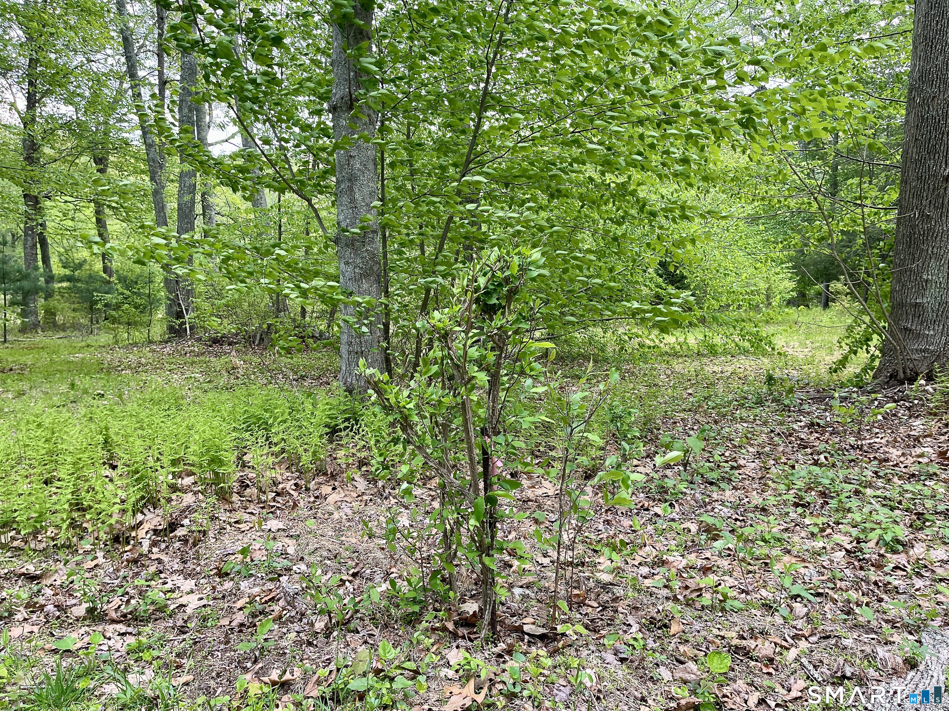 Meadow Brook Road Amston, CT 06231 - Photo 14 of 14 a view of a garden