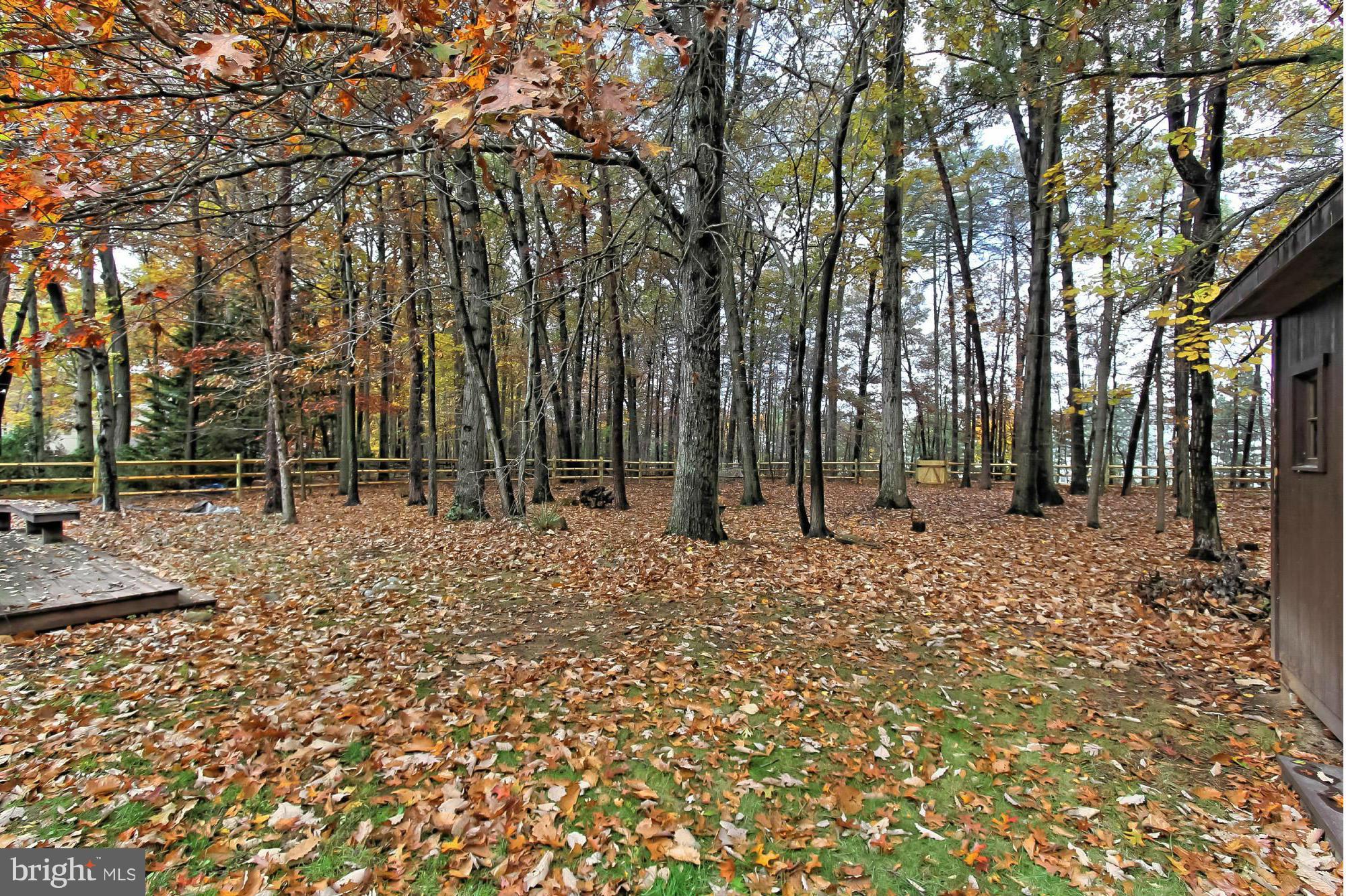 Level Backyard w/ New Shed