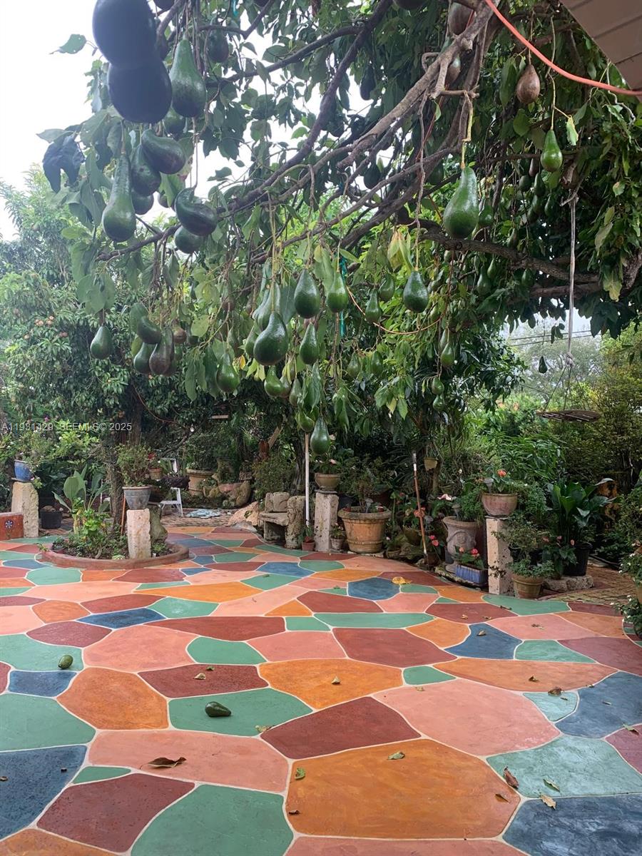 10955 Southwest 56th Street Miami, FL 33165 - Photo 17 of 39 a view of outdoor space yard and swimming pool