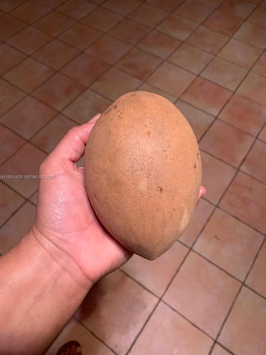 10955 Southwest 56th Street Miami, FL 33165 - Photo 18 of 39