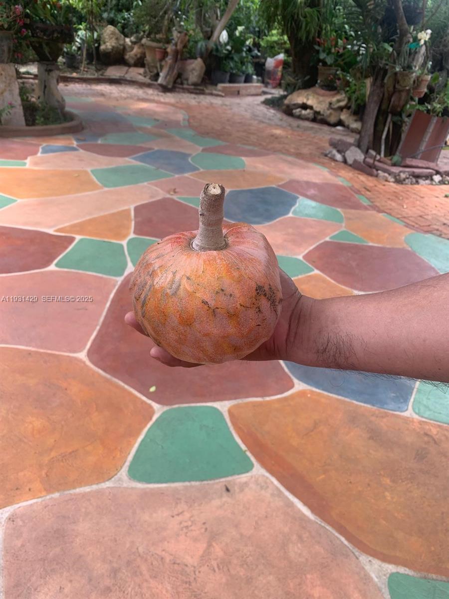 10955 Southwest 56th Street Miami, FL 33165 - Photo 19 of 39 a backyard of a house with yard and outdoor seating