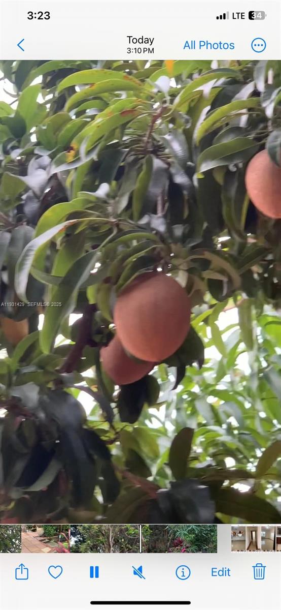 10955 Southwest 56th Street Miami, FL 33165 - Photo 20 of 39 a view of an outdoor space