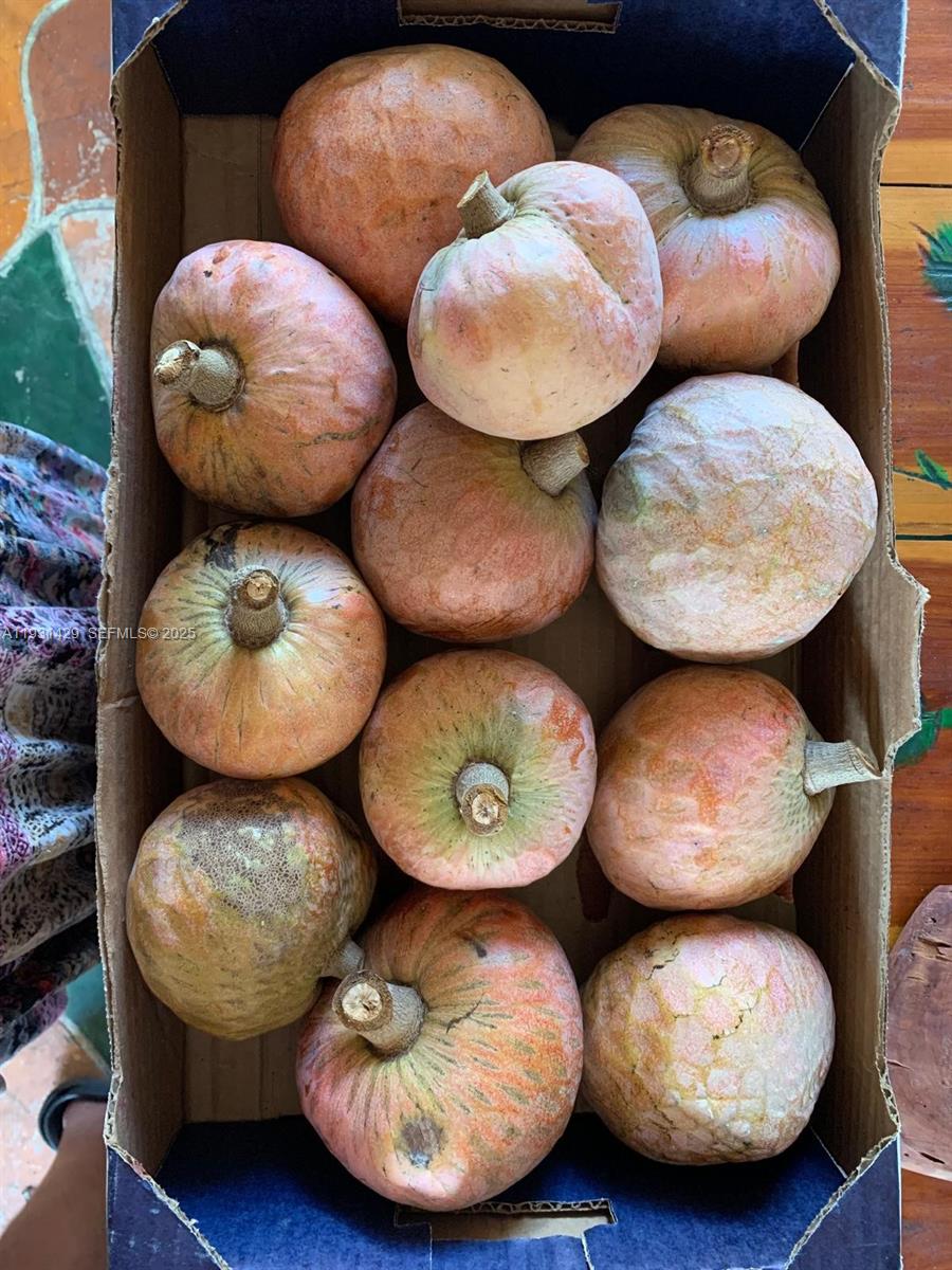 10955 Southwest 56th Street Miami, FL 33165 - Photo 22 of 39